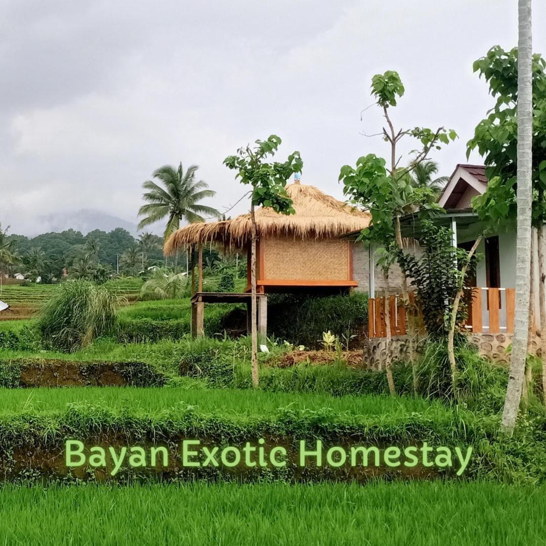 Bayan Exotic Homestay Сенару Екстер'єр фото
