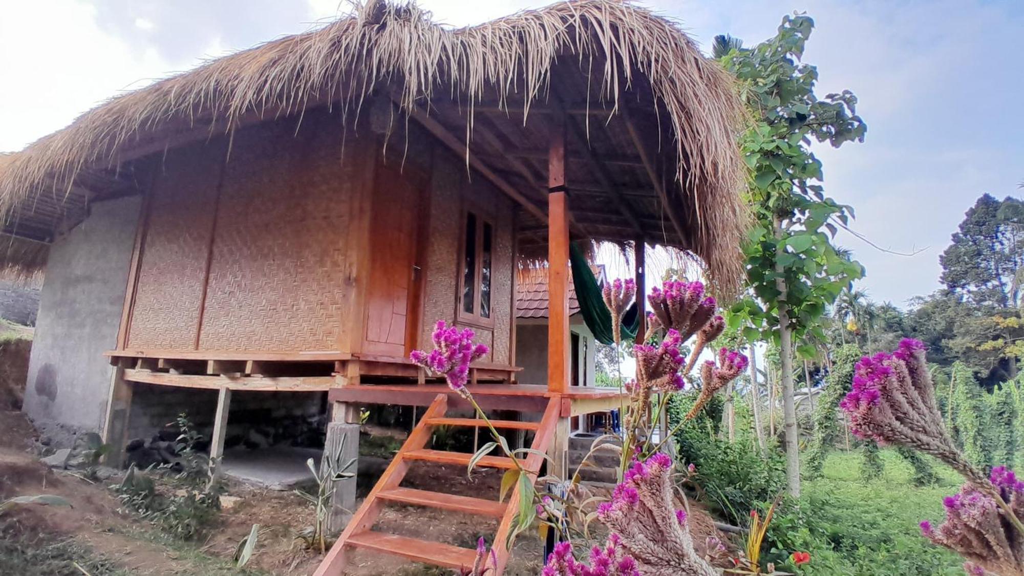 Bayan Exotic Homestay Сенару Екстер'єр фото